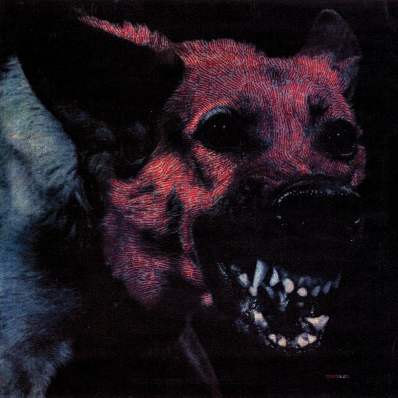 Protomartyr – Under Color of Official Right