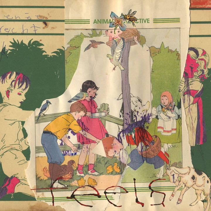 Animal Collective – Feels