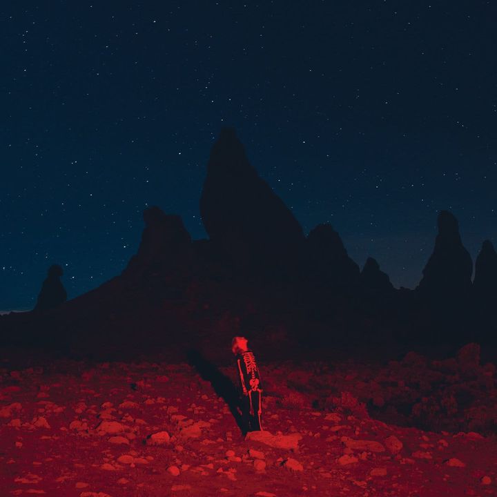 Phoebe Bridgers – Punisher