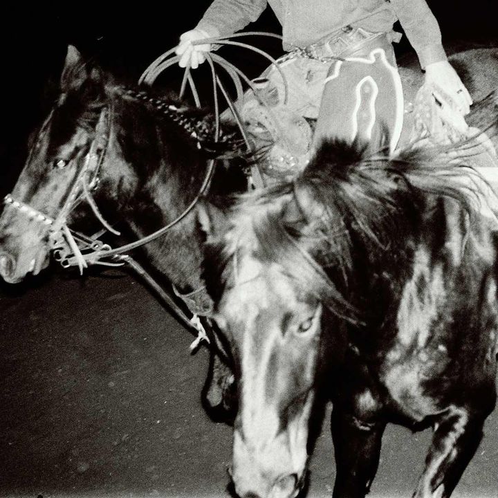 Holy Motors – Heaven’s Night