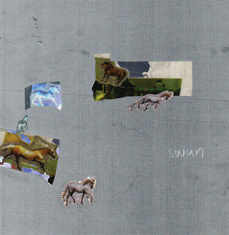 Fazed on a Pony – swan