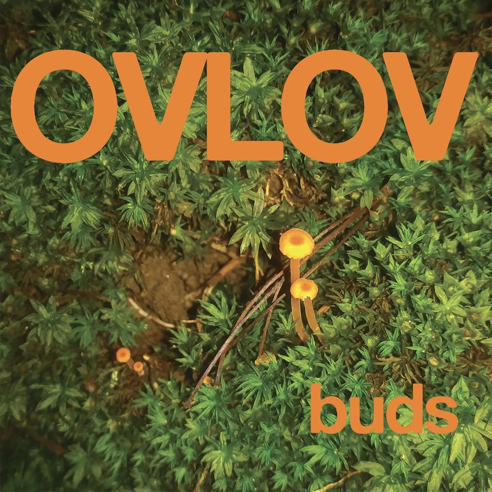 Ovlov – Buds