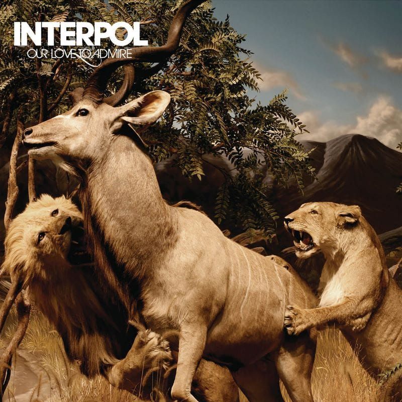 Interpol – Our Love to Admire