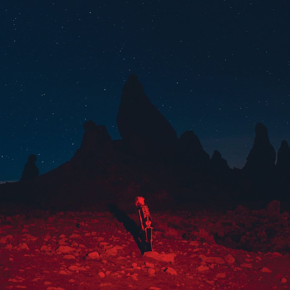 Phoebe Bridgers – Punisher
