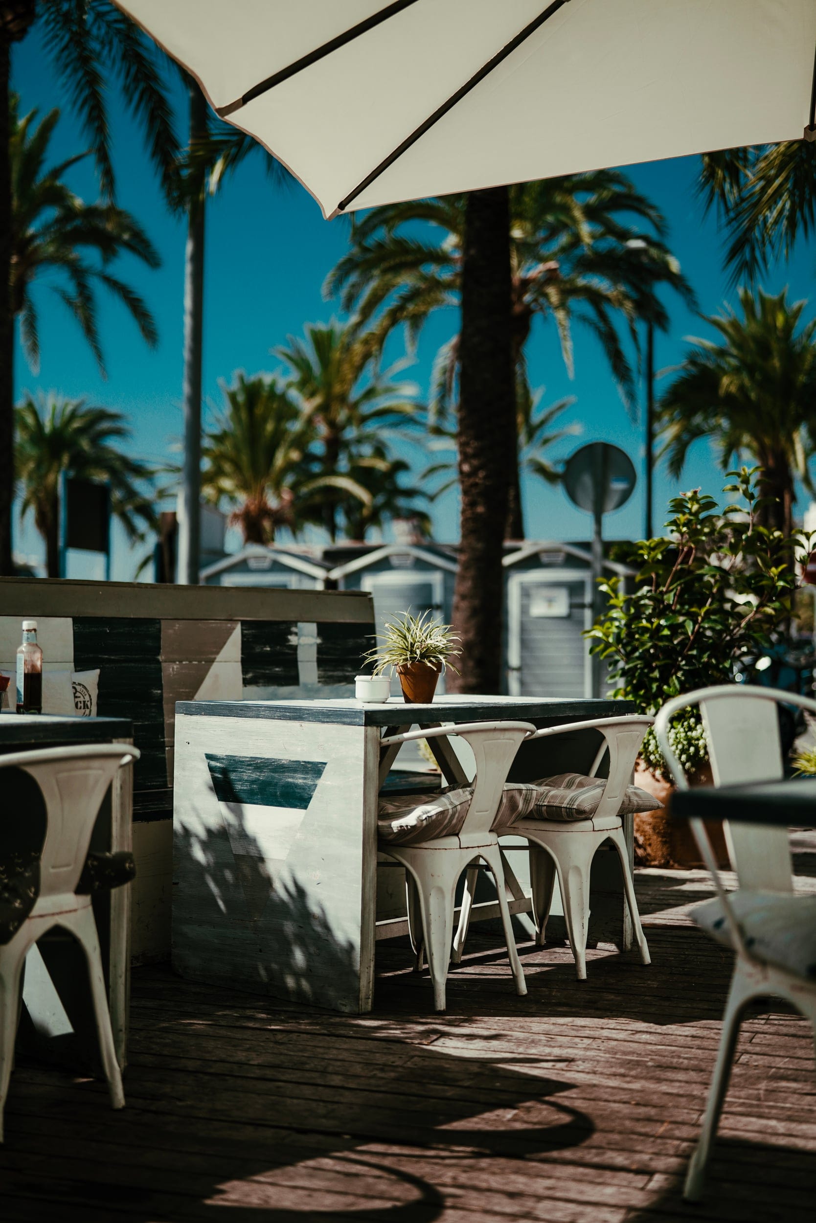 Beachclub unter Palmen