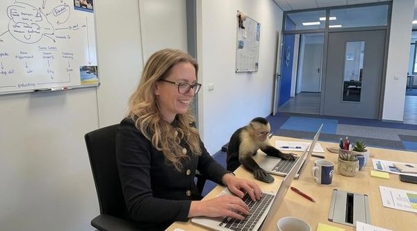 Hoe Claude Cowork mijn rotklussen overneemt