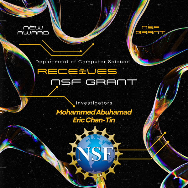 NSF Awards Grant to LUC for Innovative Cybersecurity and Privacy Training Project