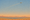 The Pointillist #13