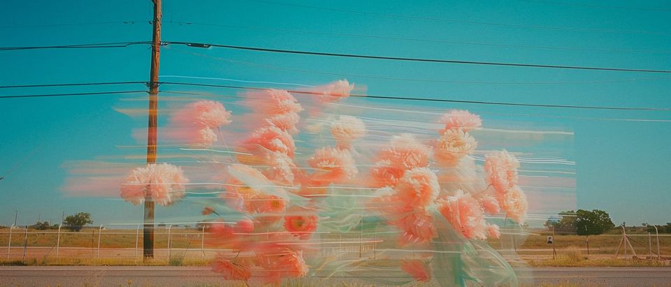 Synergy to Currency: 자유 화폐