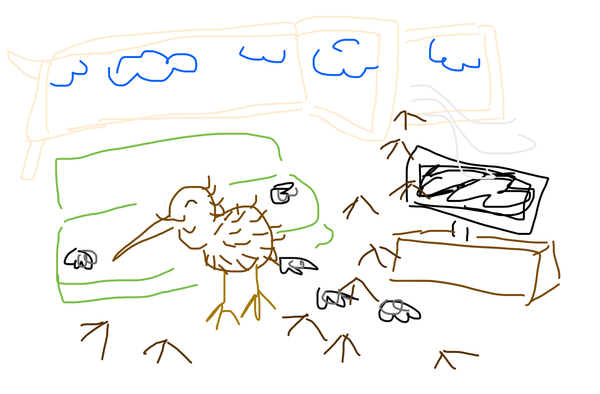 Bird poo day