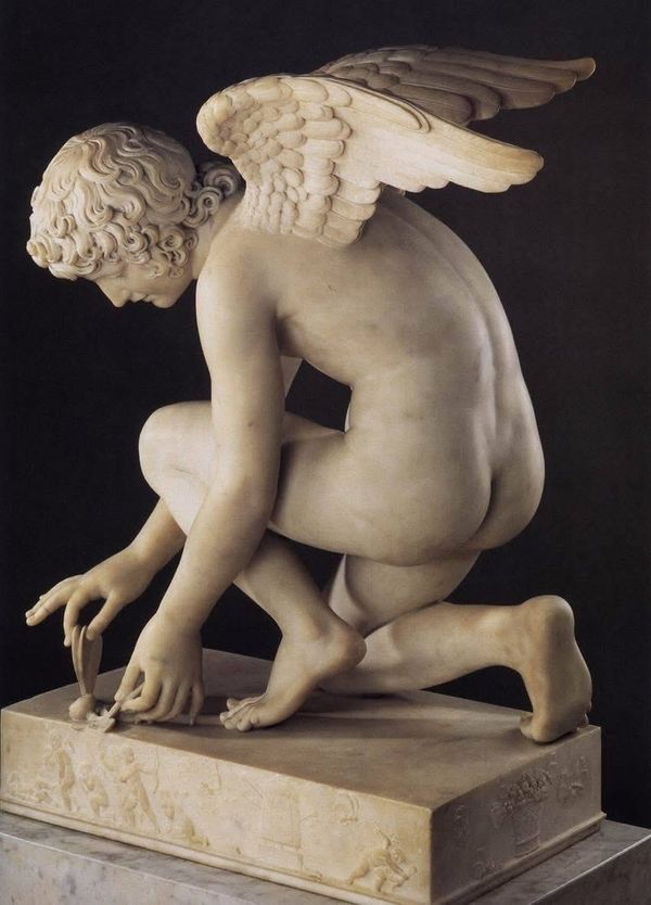 Adonis Cherub