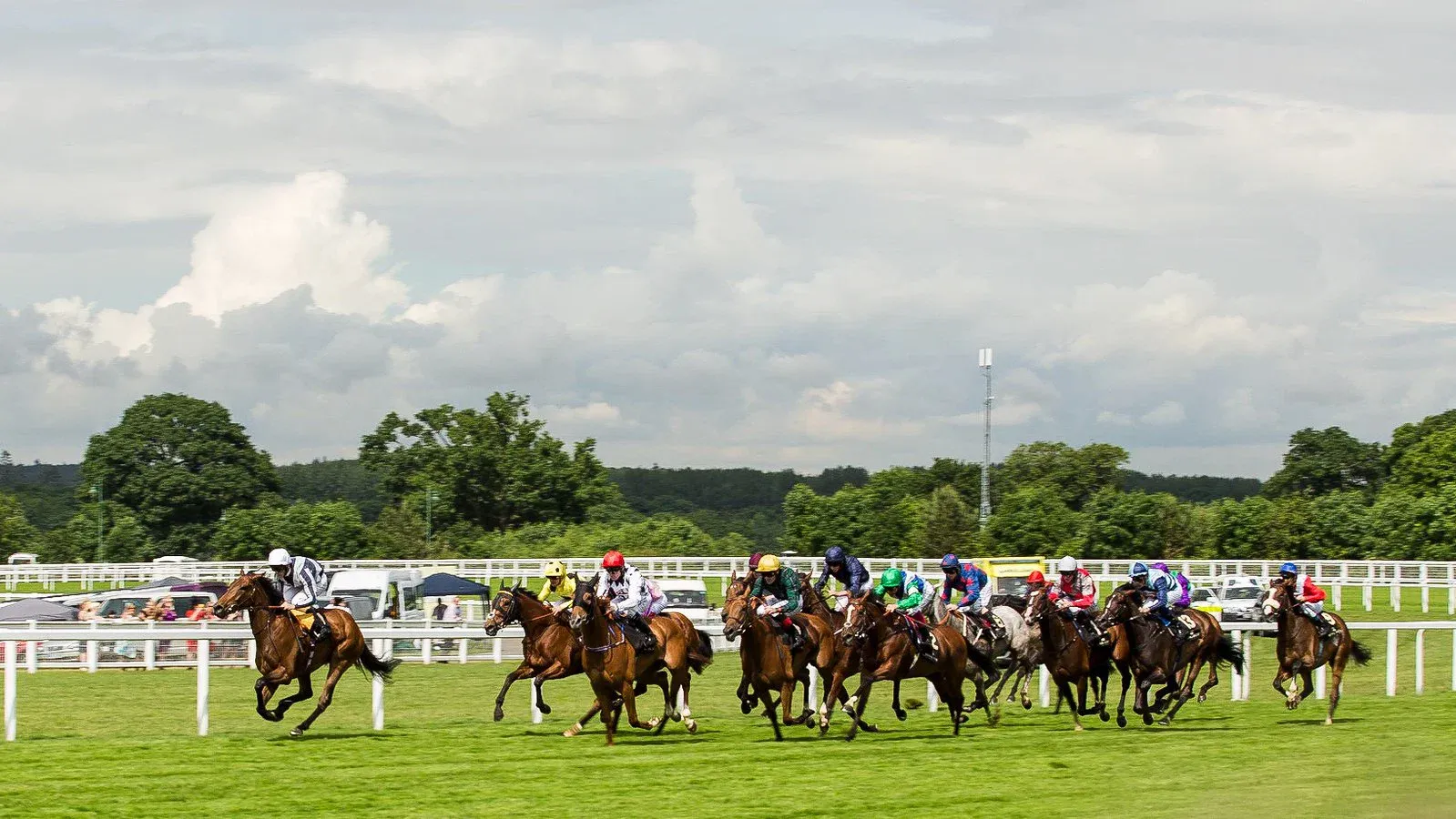 Horses racing on the turf