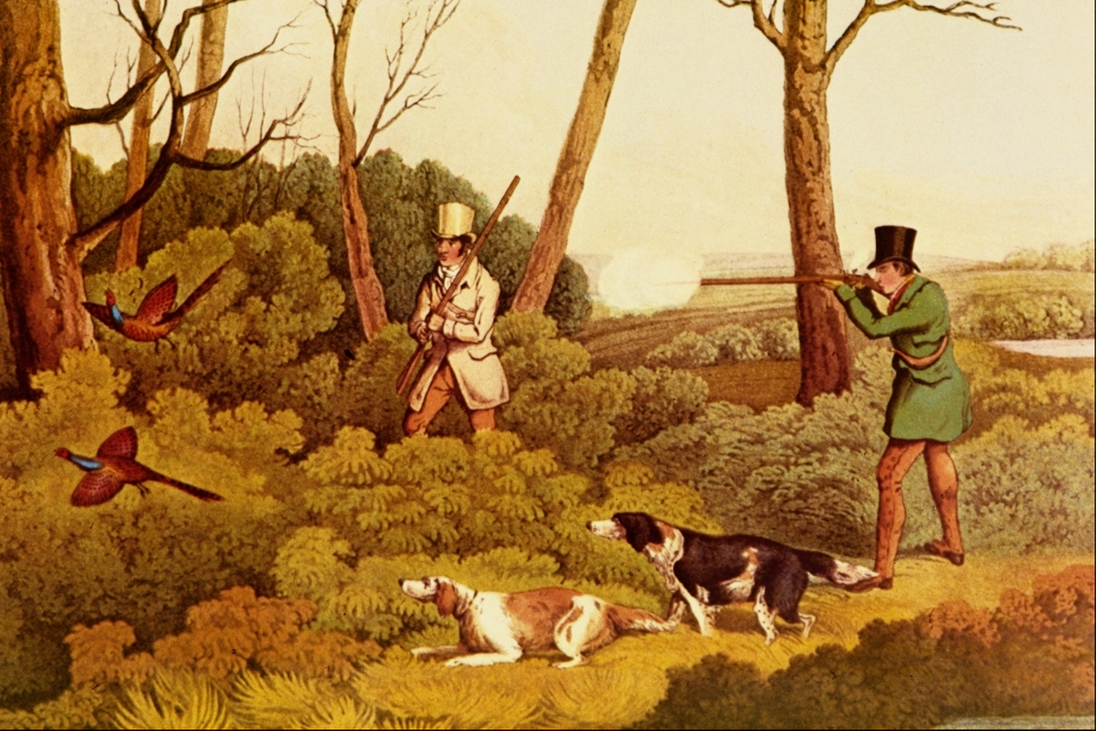 The Pheasant