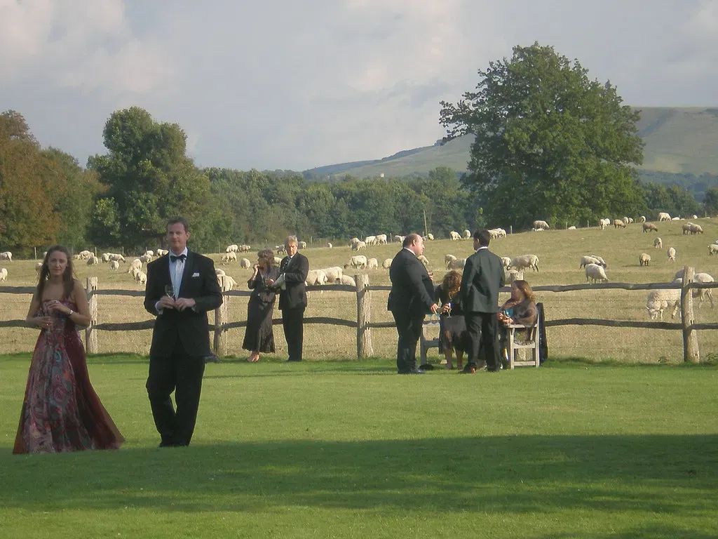 Guests in formal evening dress socialising with drinks on a country lawn, with sheep grazing in the background and rolling hills at Glyndebourne Opera.