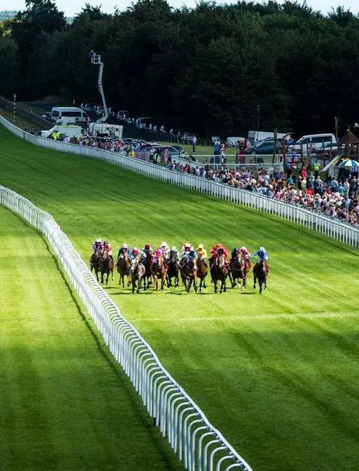 Field of racehorses galloping down a green turf track at Glorious Goodwood, with crowds watching from behind white railings and trees in the background.