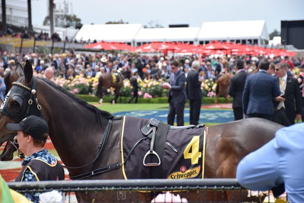 The Four Days of the Melbourne Cup Carnival: Dress, Decorum, and Distinction