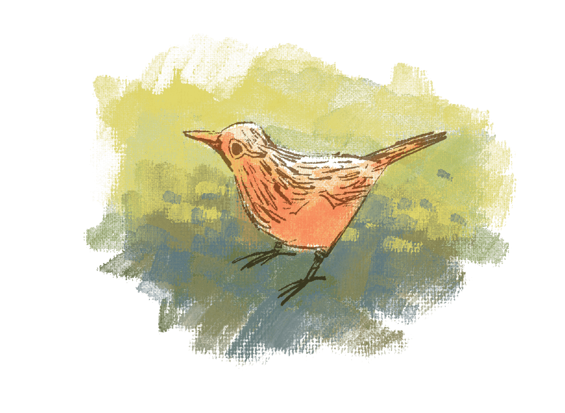 Making a Little Birdhouse in my Soul