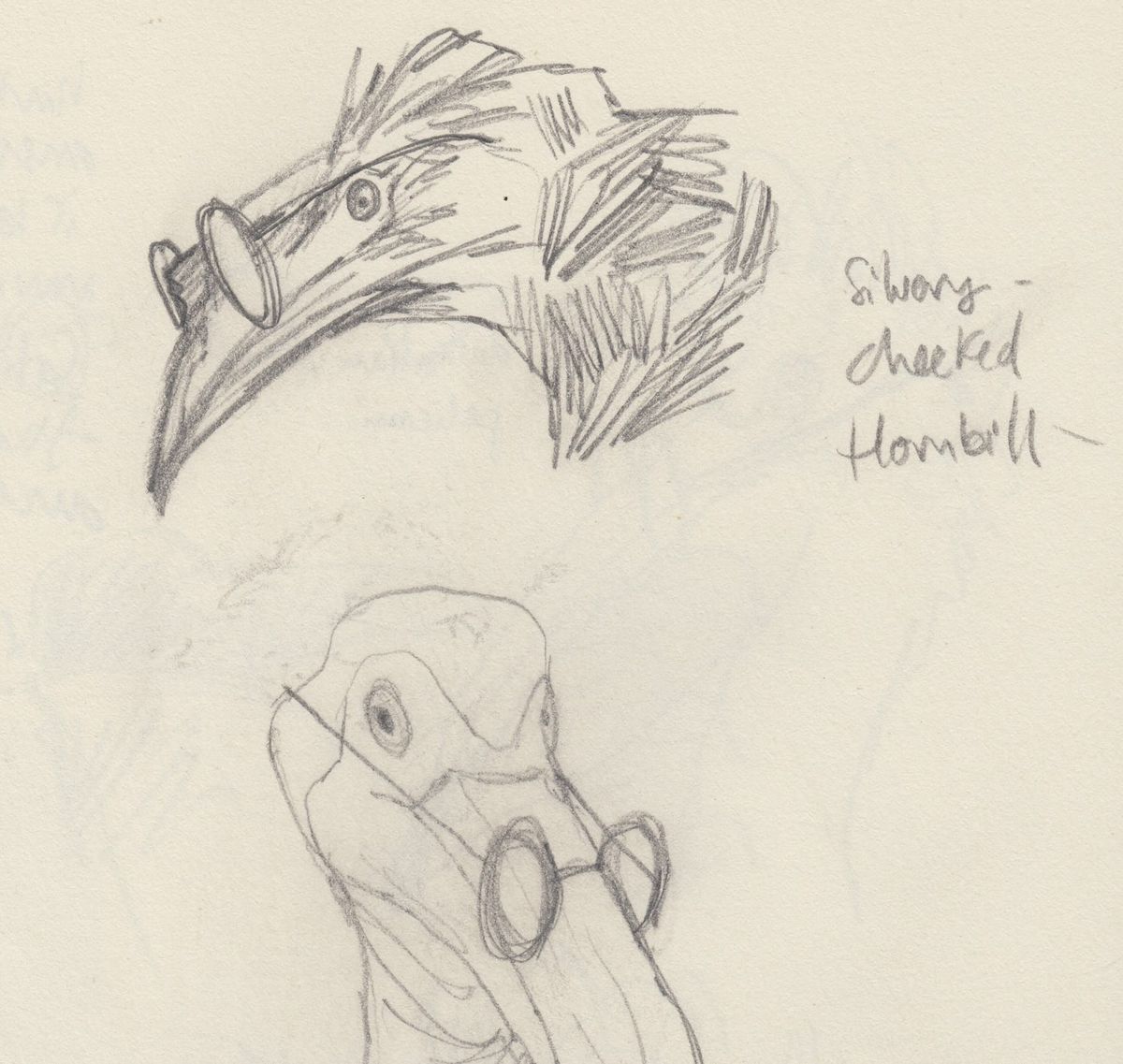A Bird Is a Bird Is a Bird
