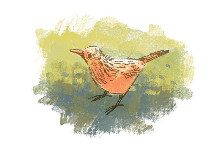 Making a Little Birdhouse in my Soul