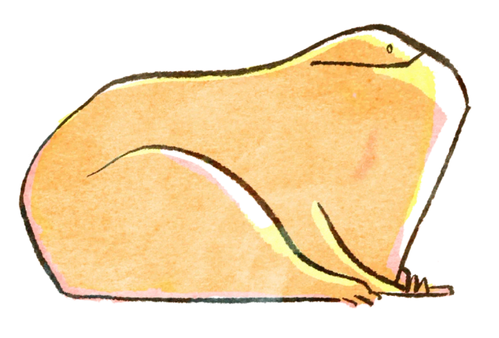 This Builds Character