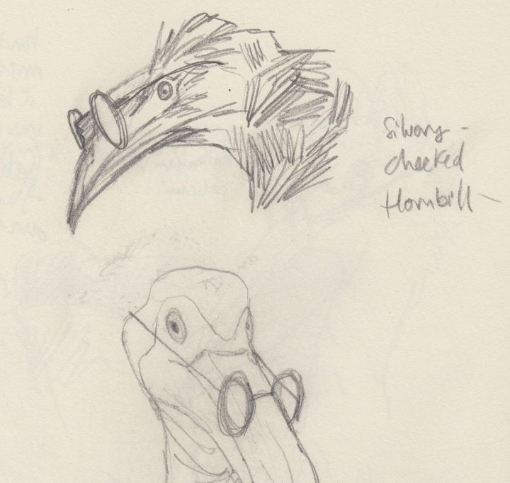 A Bird Is a Bird Is a Bird