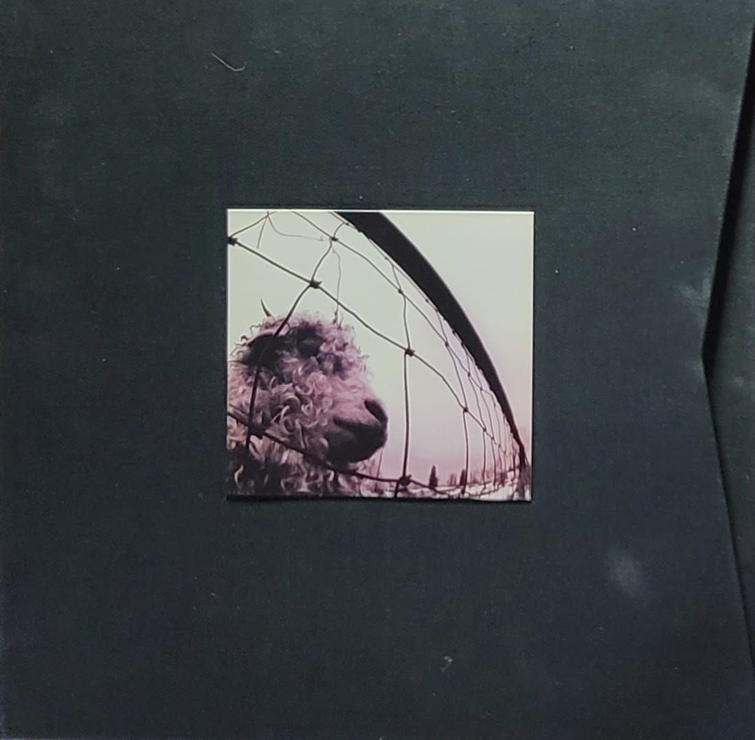 Pearl Jam — Vs. / Vitalogy — Original Box Set