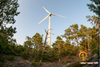 Une coalition d'organismes environnementaux s’oppose aux initiatives anti-éoliennes