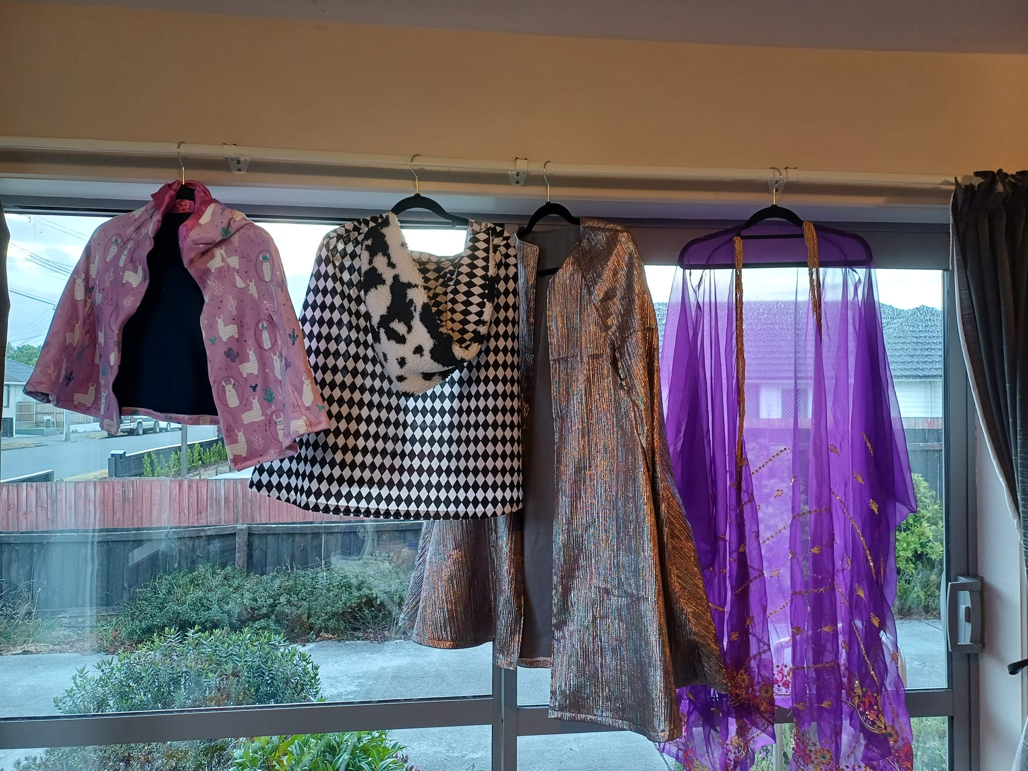 Four cloaks hanging from a curtain rail: a pink and white llama print, a black and white with a sheepskin hood, a metallic multicoloured lined with grey and a purple gauzy fabric embroidered in gold thread and sequins
