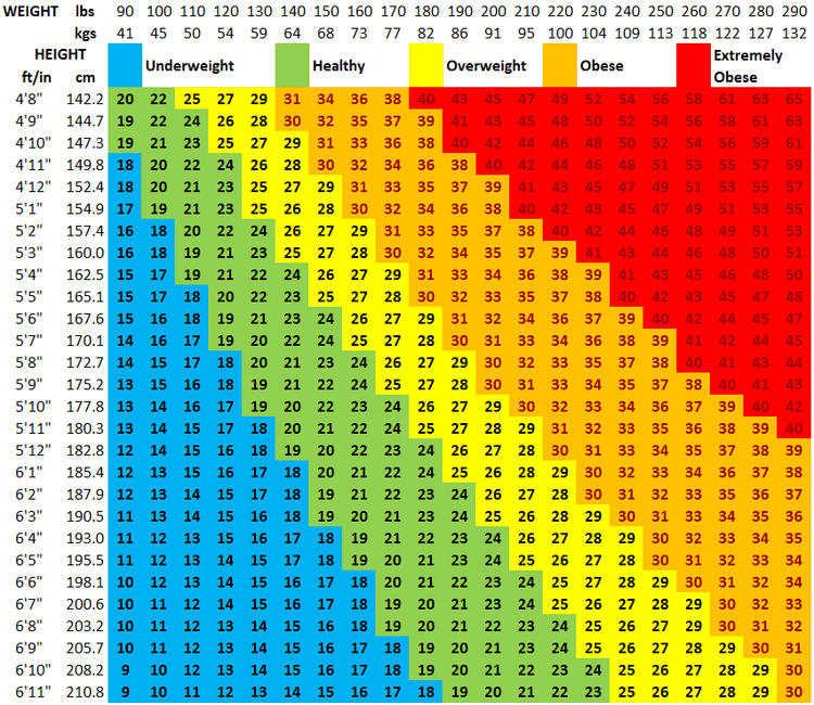 The astronomer's folly: the twisted history of the BMI.