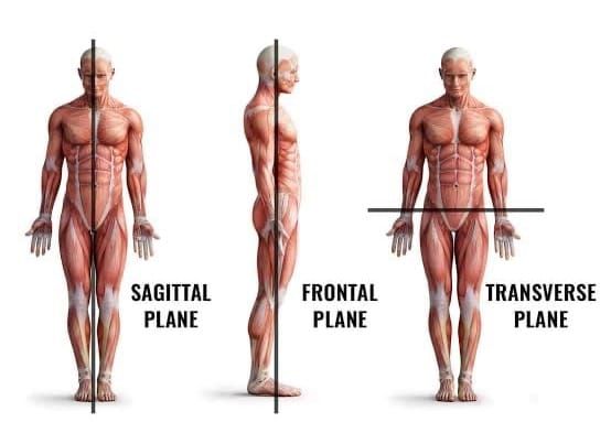 Grab Your "Passport" to Health: Moving in Different Planes of Motion.