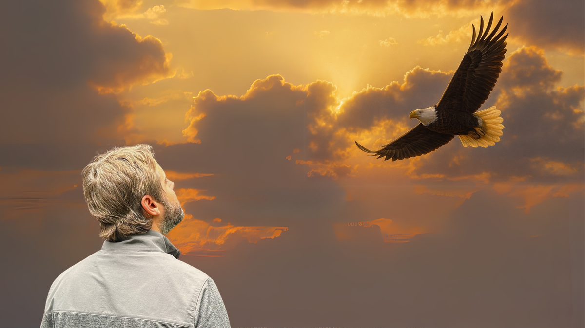 Preparing to soar after hitting rock bottom