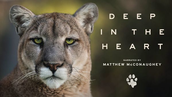 Deep in the Heart with Christian von Preysing-Barry