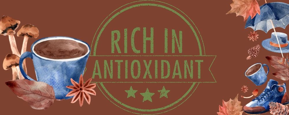 Does Mushroom Coffee Detox Your Body