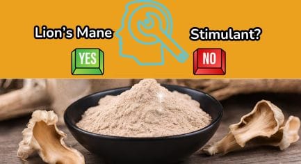 Is Lions Mane A Stimulant