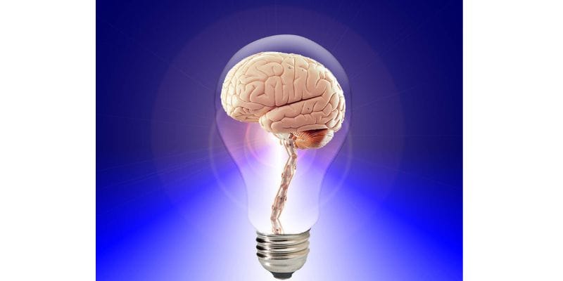 Lion's Mane and Brain-Derived Neurotrophic Factor (BDNF) 