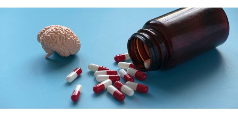 Lion's Mane as a Natural Nootropic