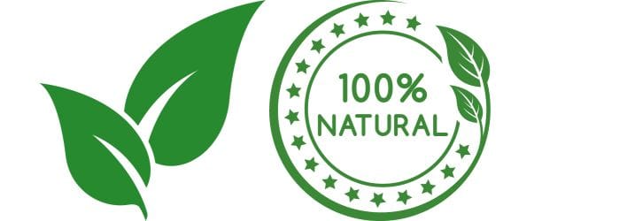 lions mane all natural supplement