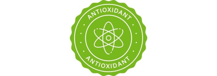 Lions Mane Antioxidant