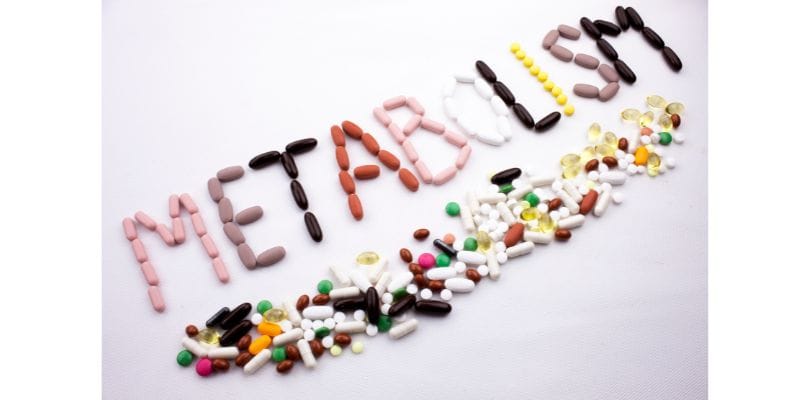Lions Mane Metabolism