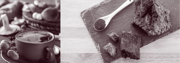 The Historical Significance of Mushroom Coffee