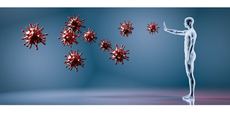 The Immune System and Sleep