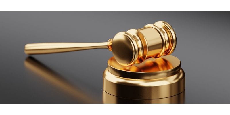 The Verdict: Better Sleep with Lion's Mane?