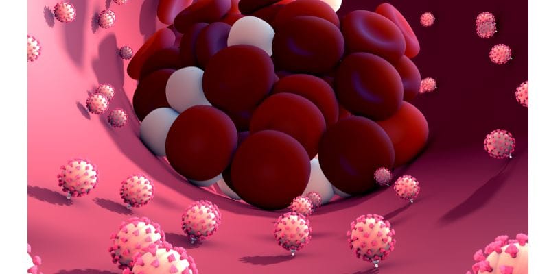 Lion's Mane and Blood Clotting