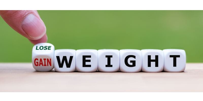 Lion's Mane and Weight Management