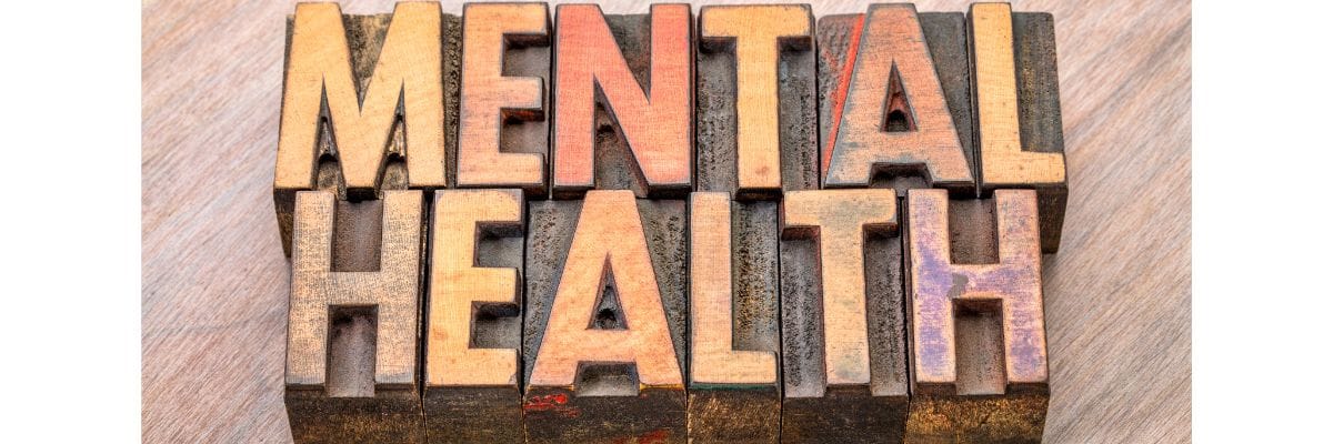 lions mane mushroom effect on gut health