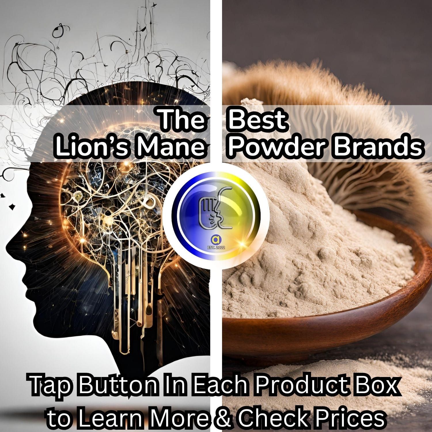 Lions Mane Powder