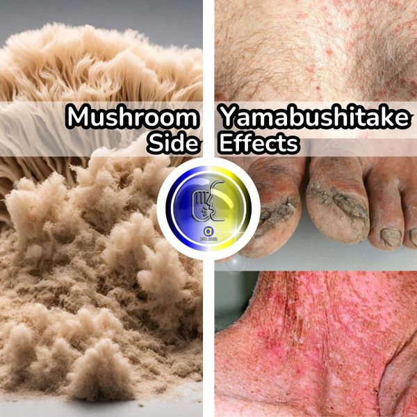 What Are The Side Effects of Lion's Mane Mushrooms?