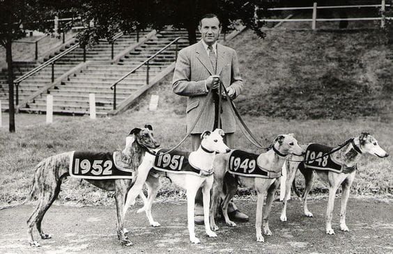 Star Sports & TRC English Greyhound Derby, Towcester