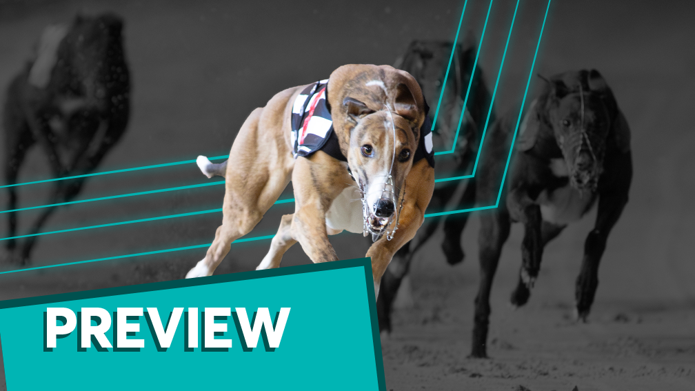 Proctor's is Layyah set to have Harlow layers running for cover