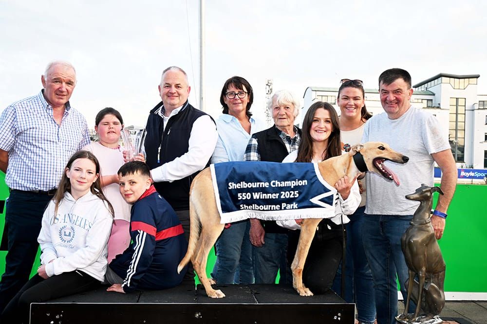 Ian Fortune's Weekly Irish Focus - Wednesday 25th June edition